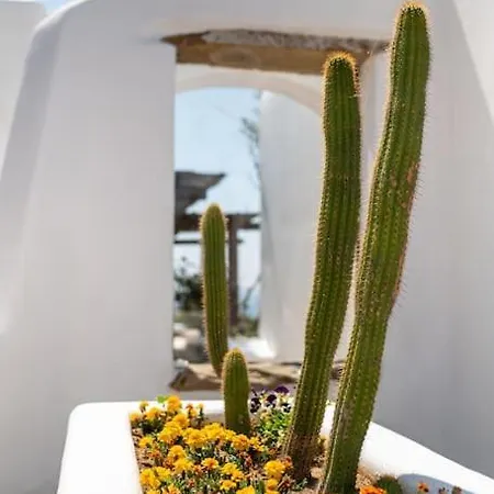 The Saltwater Pool - Mykonos Villa Mykonos Town
